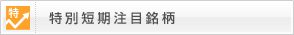 特別短期注目銘柄
