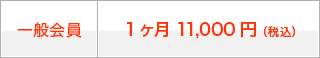一般会員：1ヶ月 11,000円（税込）