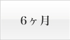 6ヶ月