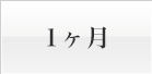 1ヶ月
