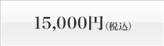 15,000円（税込）
