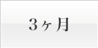 3ヶ月