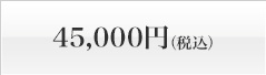 45,000円（税込）