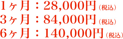 1ヶ月:28,000円(税込)3ヶ月:84,000円(税込)6ヶ月:140,000円(税込)
